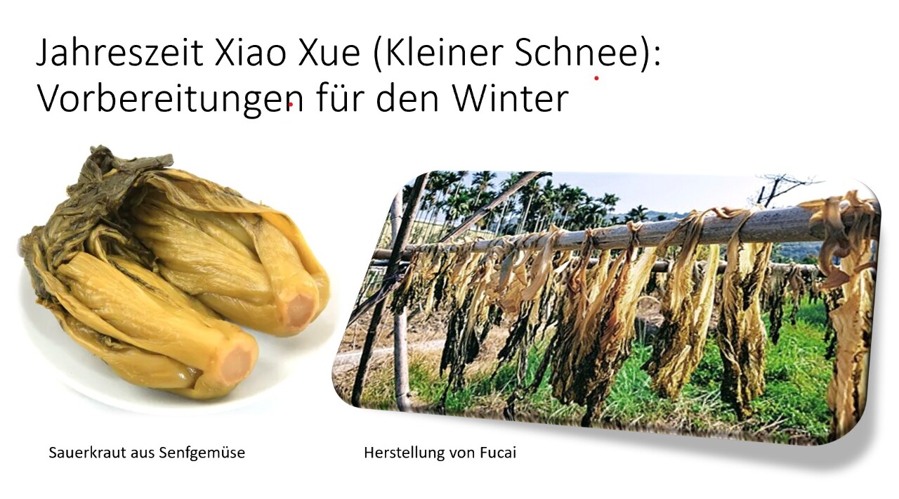 Sauerkraut: Vorbereitungen für den Winter