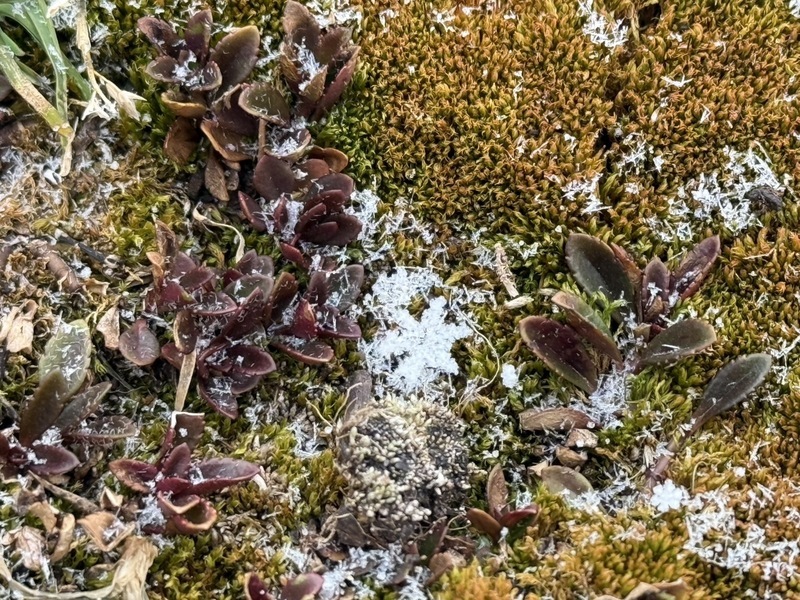 Erster Schnee in diesem Winter am Yushan