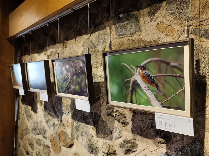 Fotoausstellung zu Zugvögeln auf Matsus Dongyin Insel