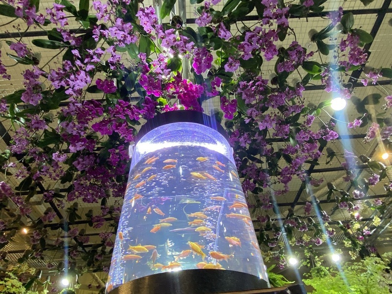 Orchideenmesse in Tainan eröffnet
