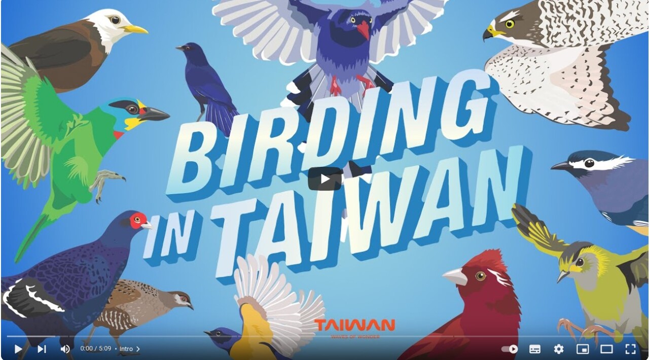 Kurzfilm über Vogelbeobachtung bei World's Tourism Film Festival in Japan ausgezeichnet