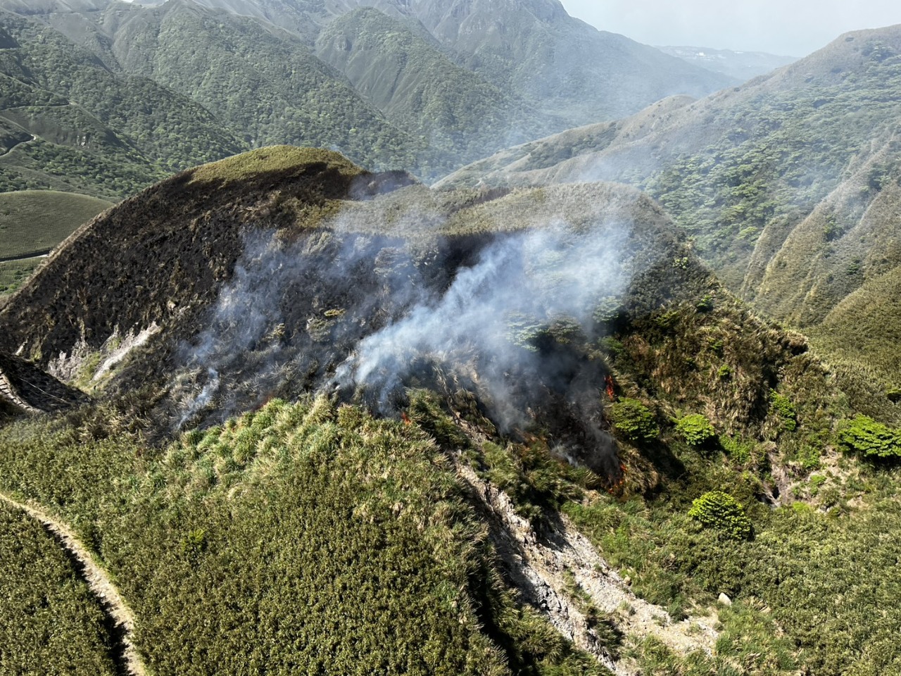 Brand im Yangmingshan Nationalpark nach fünf Stunden gelöscht