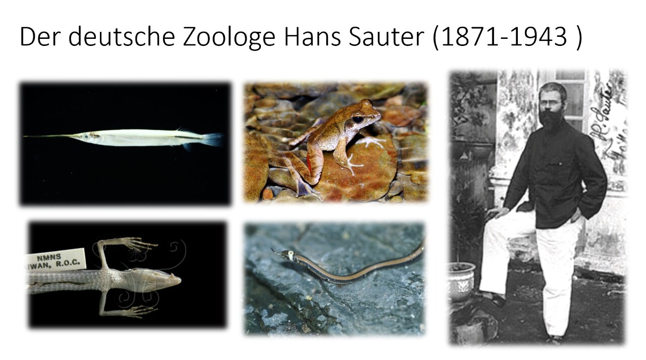 Der Biologe Hans Sauter