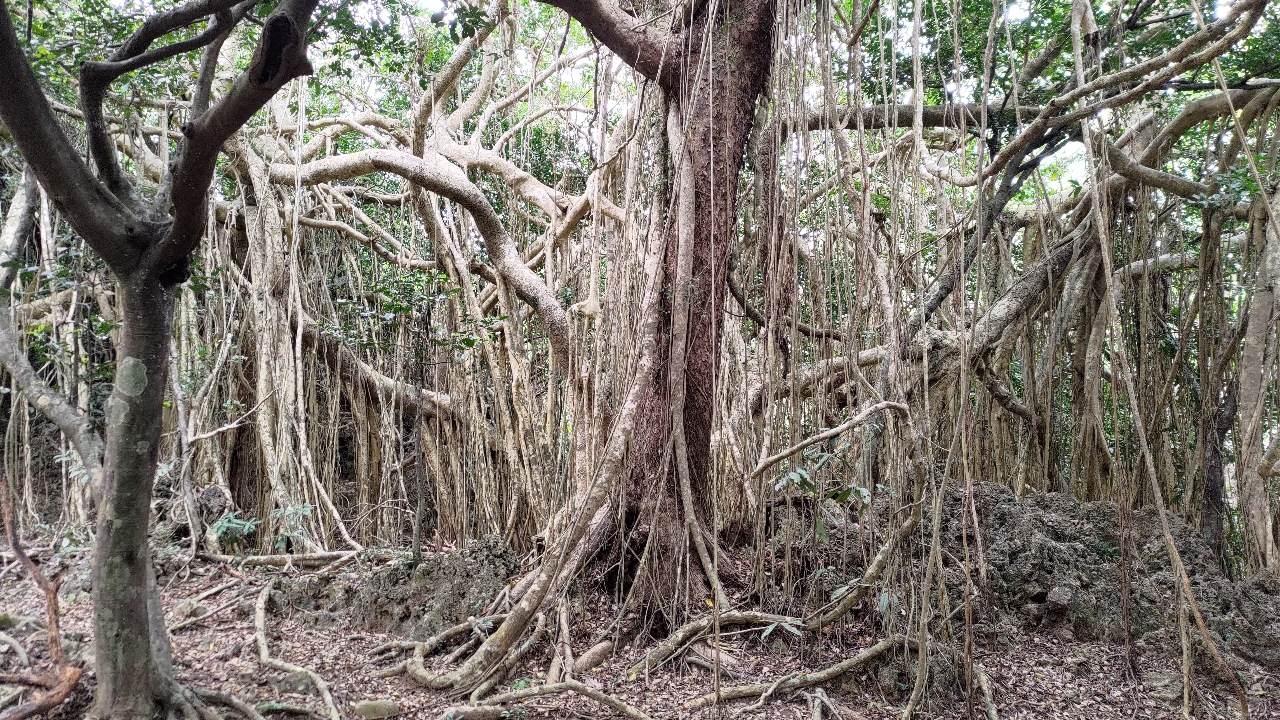 Reise durch Taiwan